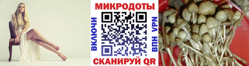 мега ССЫЛКА  купить  цена  Заводоуковск  Псилоцибиновые грибы мицелий 