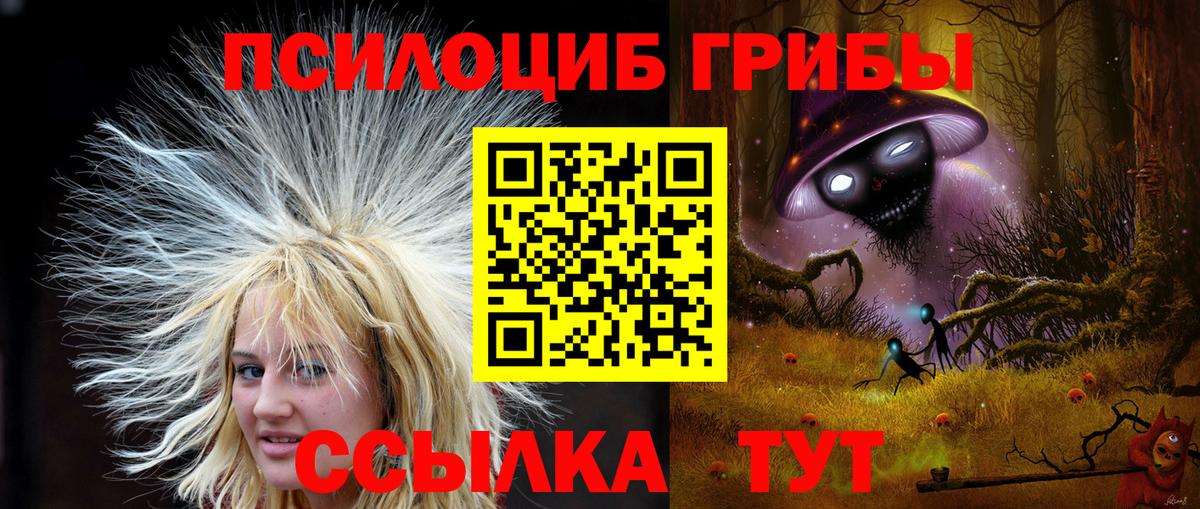 Псилоцибиновые грибы ЛСД  Псилоцибиновые грибы Cubensis  Вход с VPN  Заводоуковск 